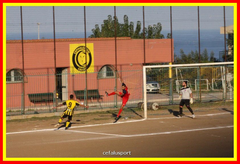 181111 Cepha_Milazzo 120_tn.JPG